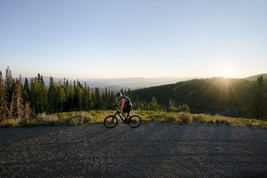 Alquiler de bicicletas en la calle Gran Canaria-campo