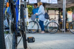 alquiler de bicicletas en la patacona - asesoria